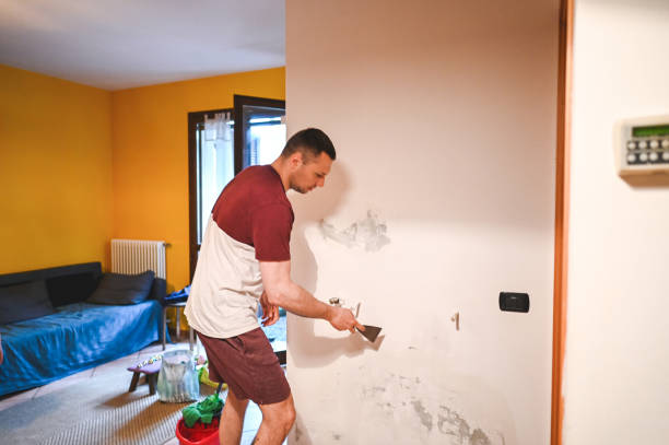 Best Commercial Mold Remediation in Orchard Grass Hills, KY